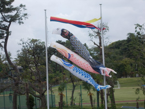 Dscn85271