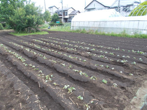 Dscn85811