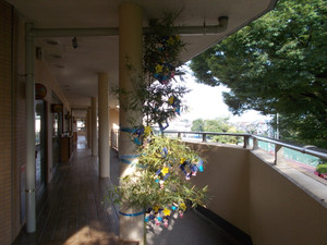 Dscn86141