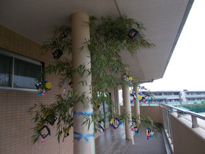 Dscn86151