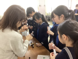 Cd09a113e4a347a9b2f62d65733186a6