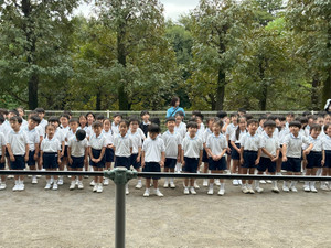 Img_0818 Img_0818