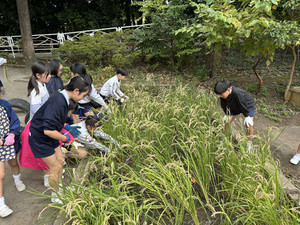 Img_8172 Img_8172