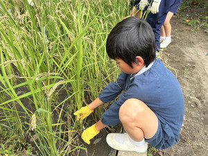 Img_8177 Img_8177