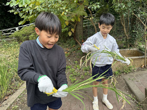 Img_8180 Img_8180